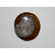Perle Ammonite fossile ronde 31mm. Pièce unique