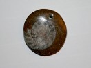 Perle Ammonite fossile ronde 31mm. Pièce unique
