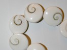Perle Oeil de Shiva pastille 19mm. La perle