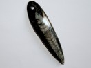 Perle Orthocéras fossile 58mm. Pièce unique