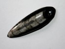 Perle Orthocéras fossile 52mm. Pièce unique