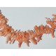 Perle Corail rose branche 10 à 15mm. La perle