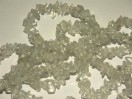 Perles Cristal de roche rocailles chips.
