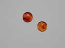 Cabochon Ambre rond. La pièce