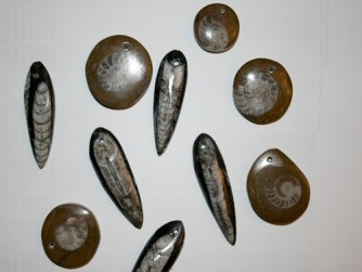 Fossiles